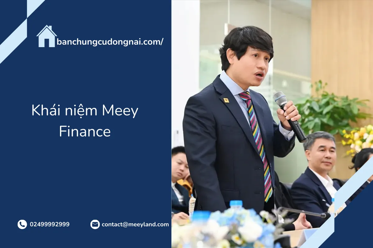 Khái niệm Meey Finance