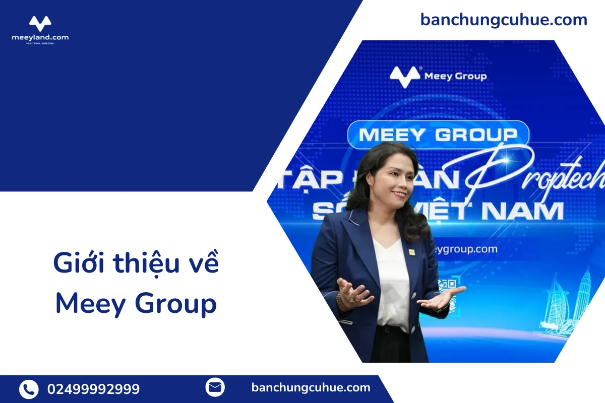 Giới thiệu về Meey Group