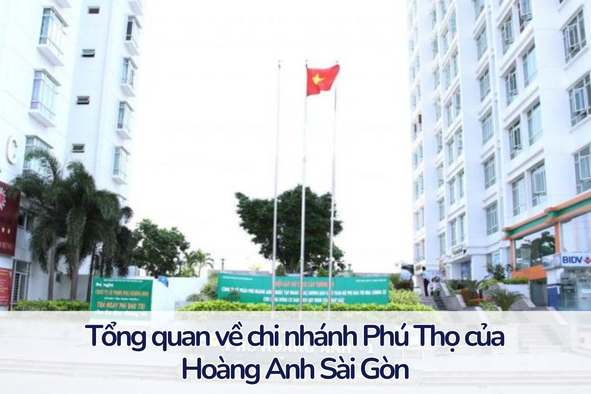 Mở chi nhánh Phú Thọ: Bước tiến mới của Hoàng Anh Sài Gòn