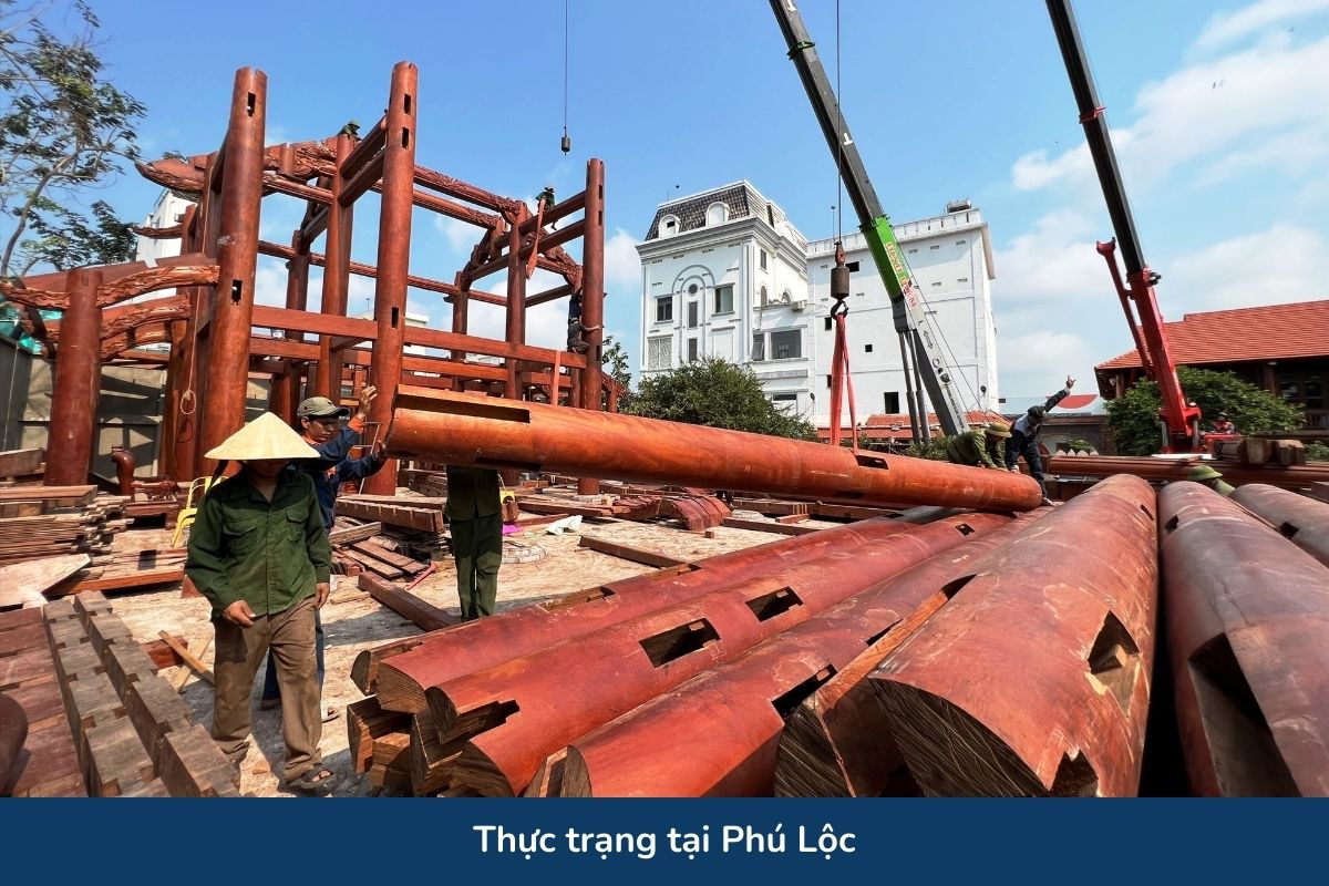 Thực trạng tại Phú Lộc