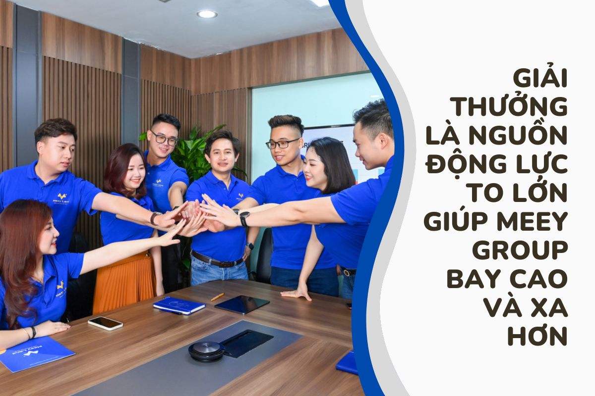 Những giải thưởng mang ý nghĩa vô cùng to lớn cho Meey Group (1)