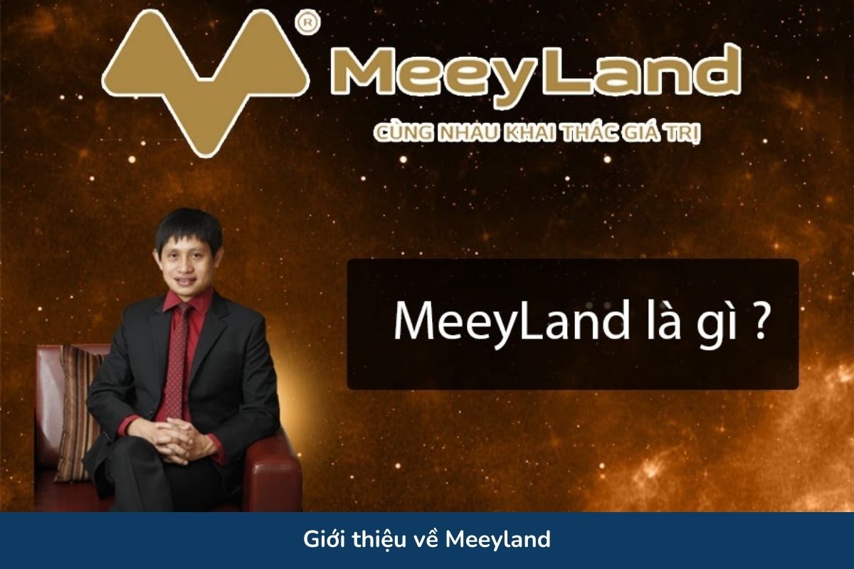 Giới thiệu về Meeyland