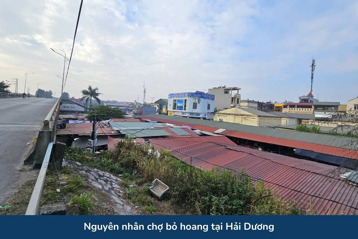 Nguyên nhân chợ bỏ hoang tại Hải Dương