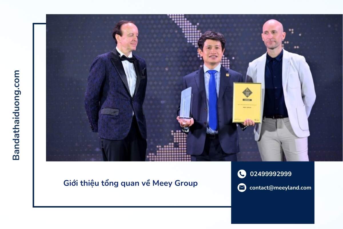 Giới thiệu tổng quan về Meey Group