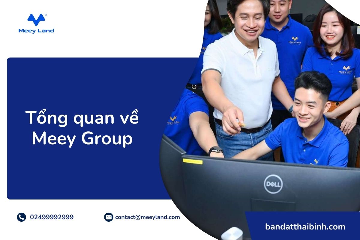 Tổng quan về Meey Group