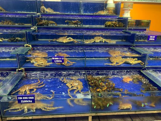 Dàn hải sản - Chợ hải sản Vân Đồn - Đông A