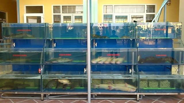 Nhà hàng Như Ý - Ninh Bình