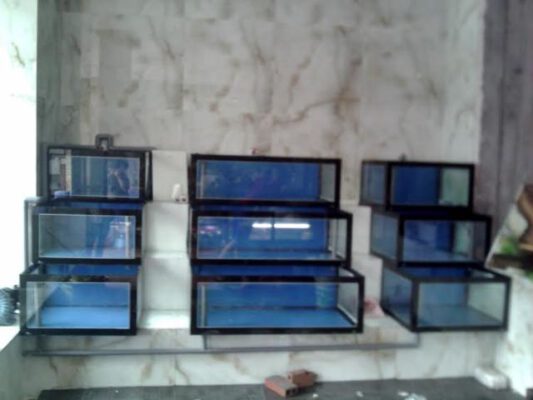 xử lý nước
