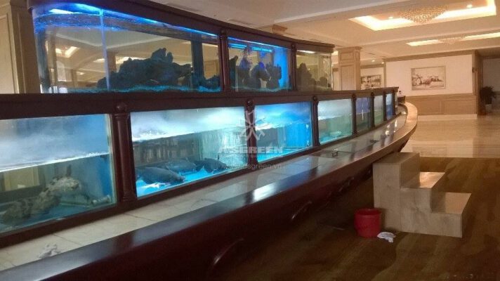 thiết kế, lắp đặt bể thủy hải sản uy tín