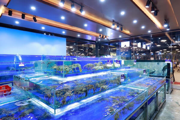 Làm dàn bể hải sản tại Nam Định
