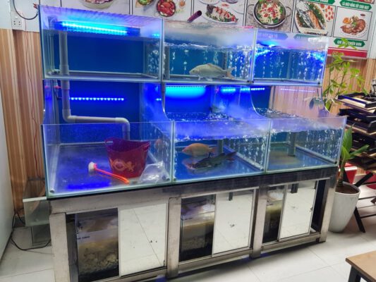 Những yếu tố cơ bản khi thiết kế bể hải sản đạt chuẩn, chất lượng cao