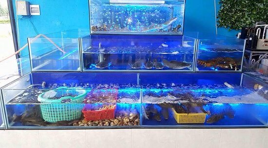 thiết kế bể hải sản tại Nam Định