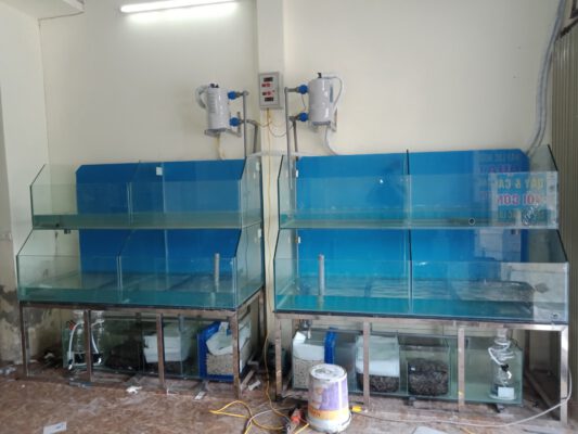 lắp đặt dàn bể hải sản