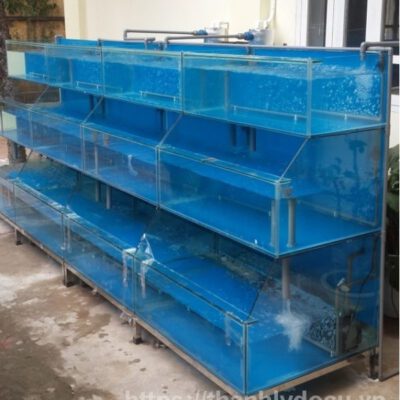 Cách nuôi hải sản tươi sống bạn không nên bỏ qua