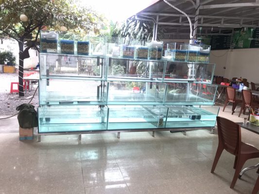 Thiết kế thi công bể hải sản nhà hàng tiêu chuẩn