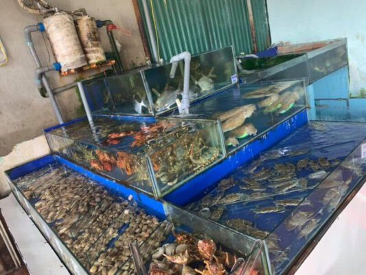 Thiết kế thi công bể hải sản nhà hàng tiêu chuẩn