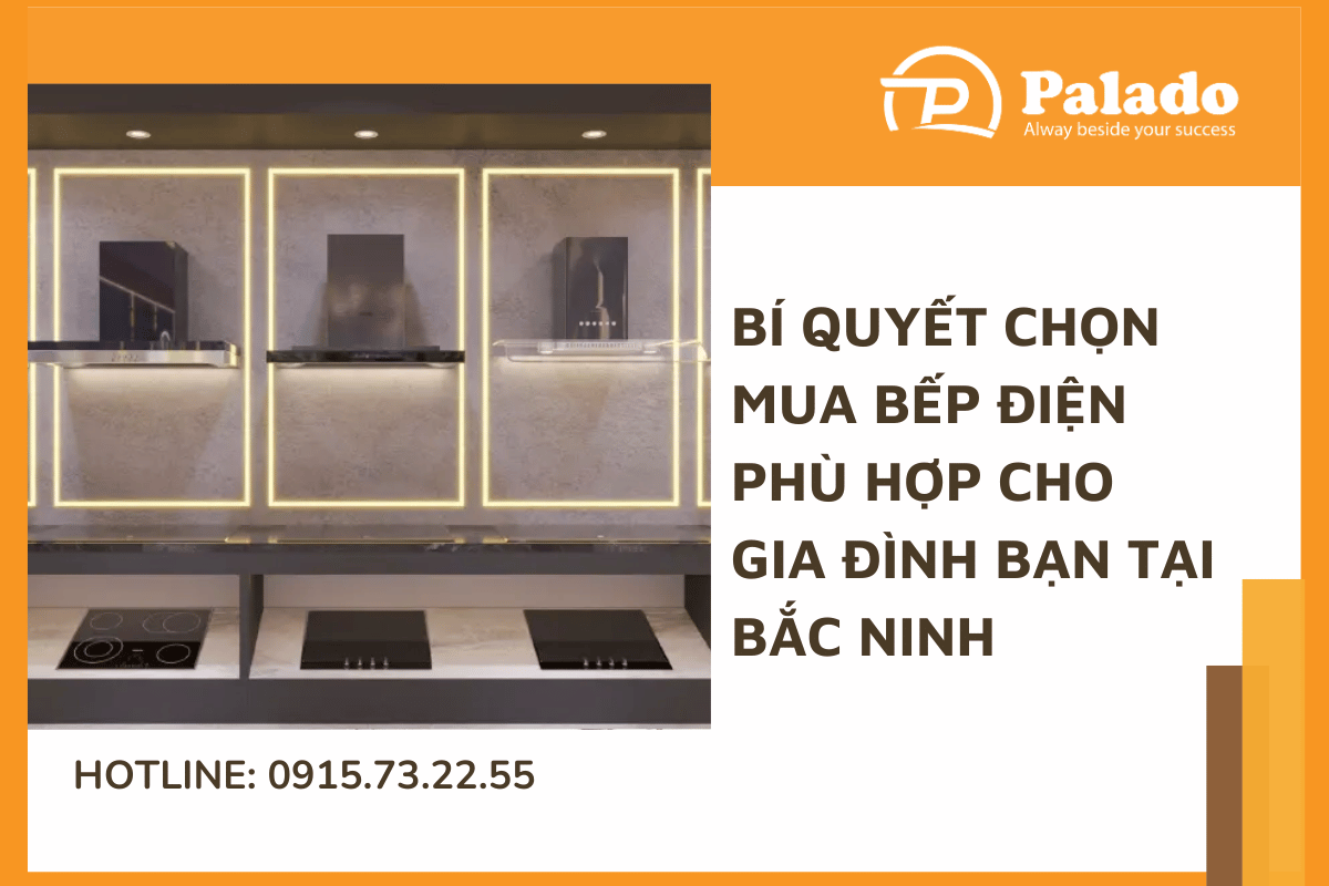 Bí quyết chọn mua bếp điện phù hợp cho gia đình bạn tại Bắc Ninh (6)