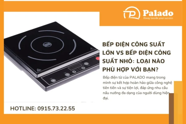 Bếp điện công suất lớn vs bếp điện công suất nhỏ Loại nào phù hợp với bạn