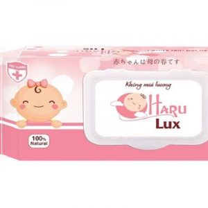 Khăn ướt kháng khuẩn Haru Lux 100 tờ (15x20cm)