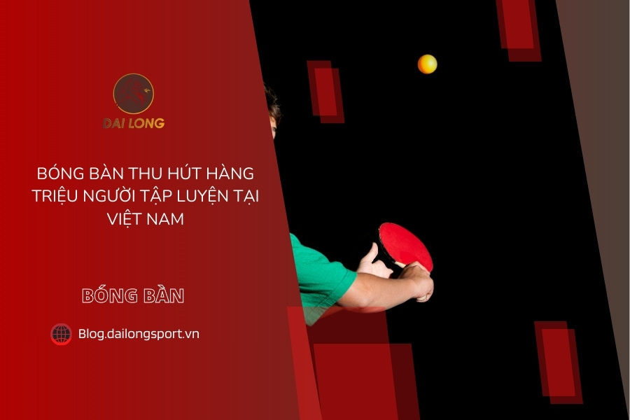 FAQs về bóng bàn tại Việt Nam
