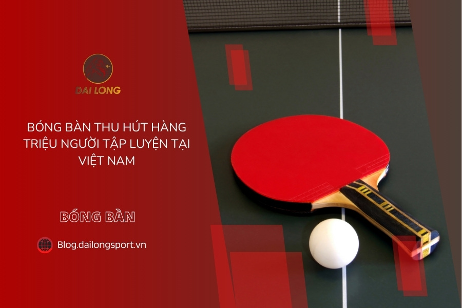 Đại Long Sports