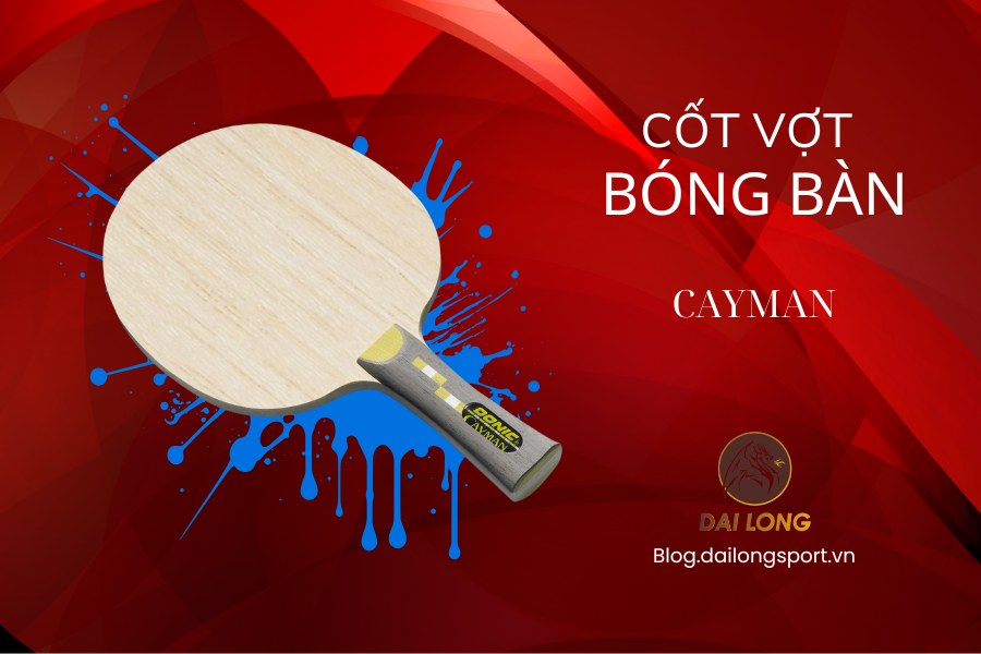 Donic Cayman – Nhẹ Nhàng, Toàn Diện