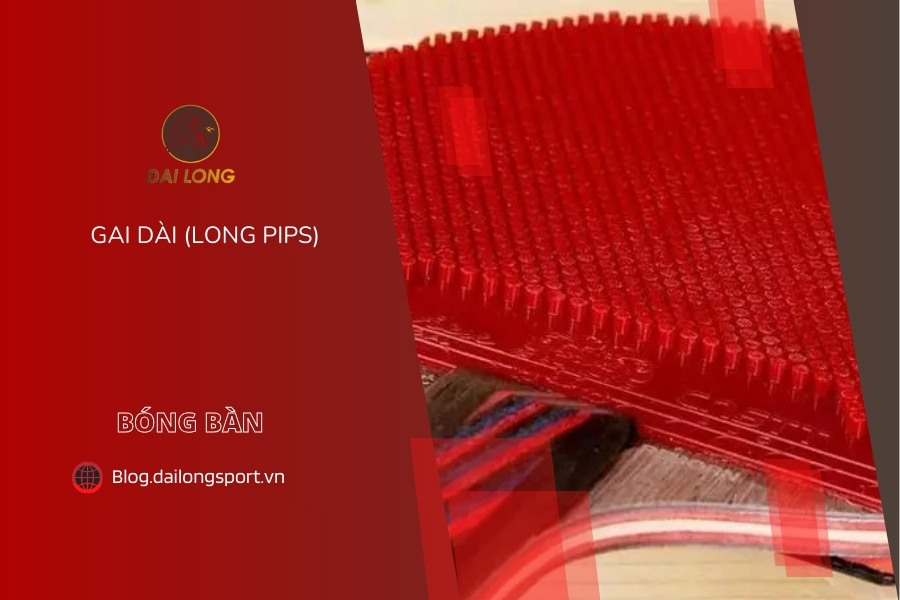 Gai Dài (Long Pips) Là Gì?