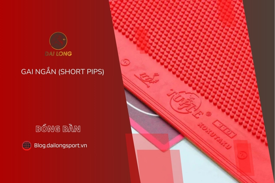 Gai Ngắn (Short Pips) Là Gì?