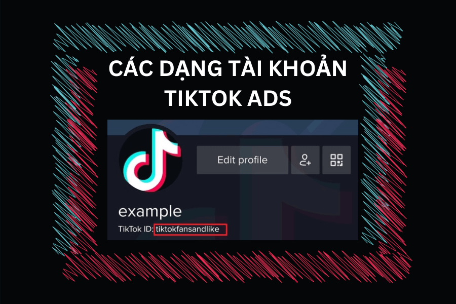 Các dạng tài khoản TikTok dành cho quảng cáo