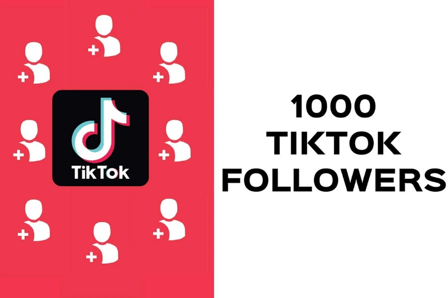 Dịch vụ tăng follow Tiktok