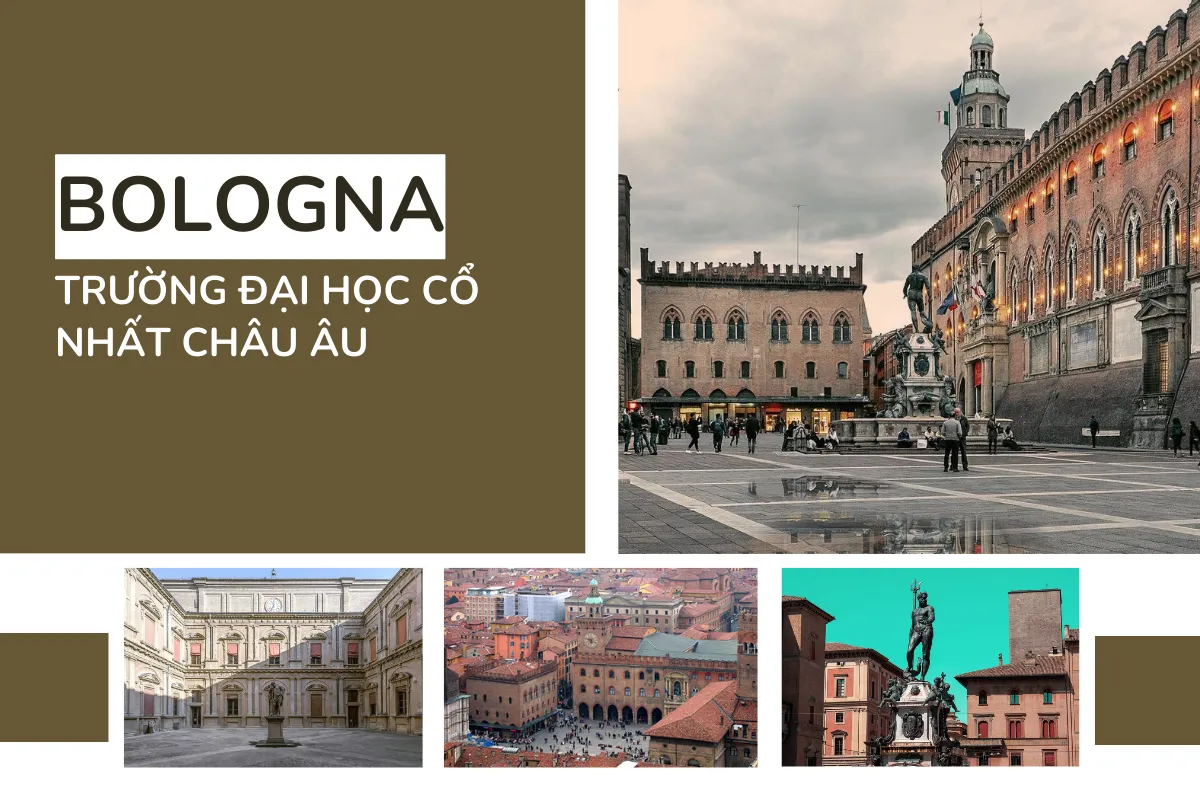 Trường đại học "già" nhất châu Âu - Bologna