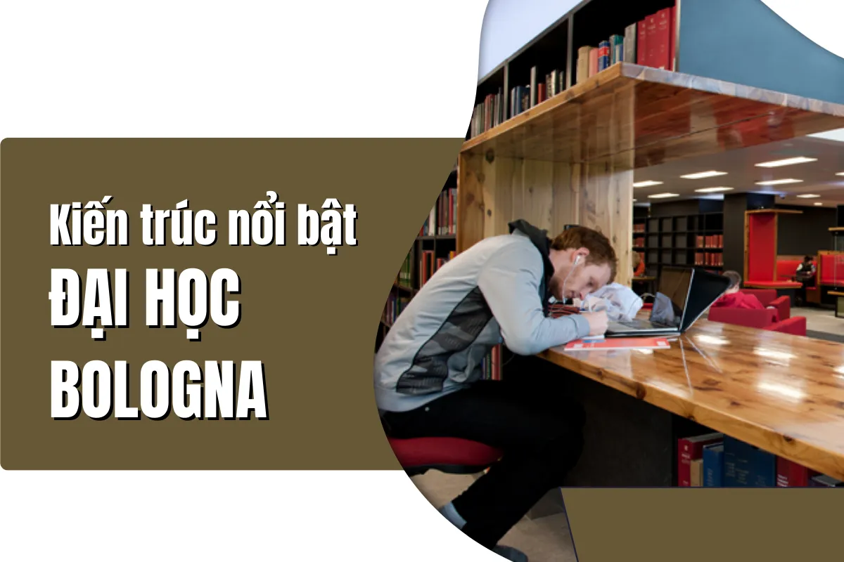 Trường đại học "già" nhất châu Âu - Bologna