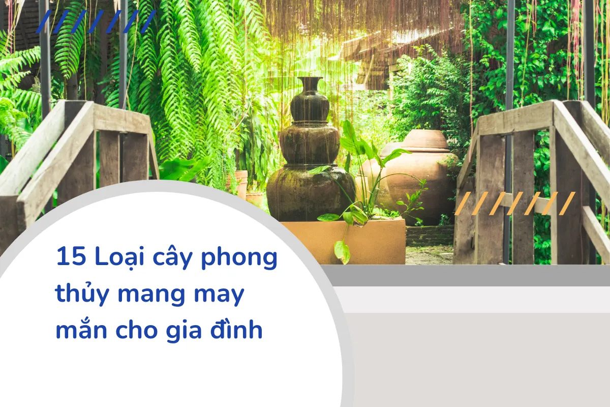 15 Loại cây phong thủy mang may mắn cho gia đình