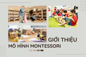 trường mầm non Montessori