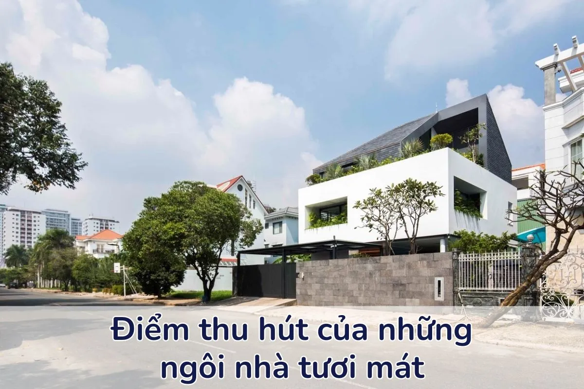 Những ngôi nhà tươi mát tại Hồ Tây