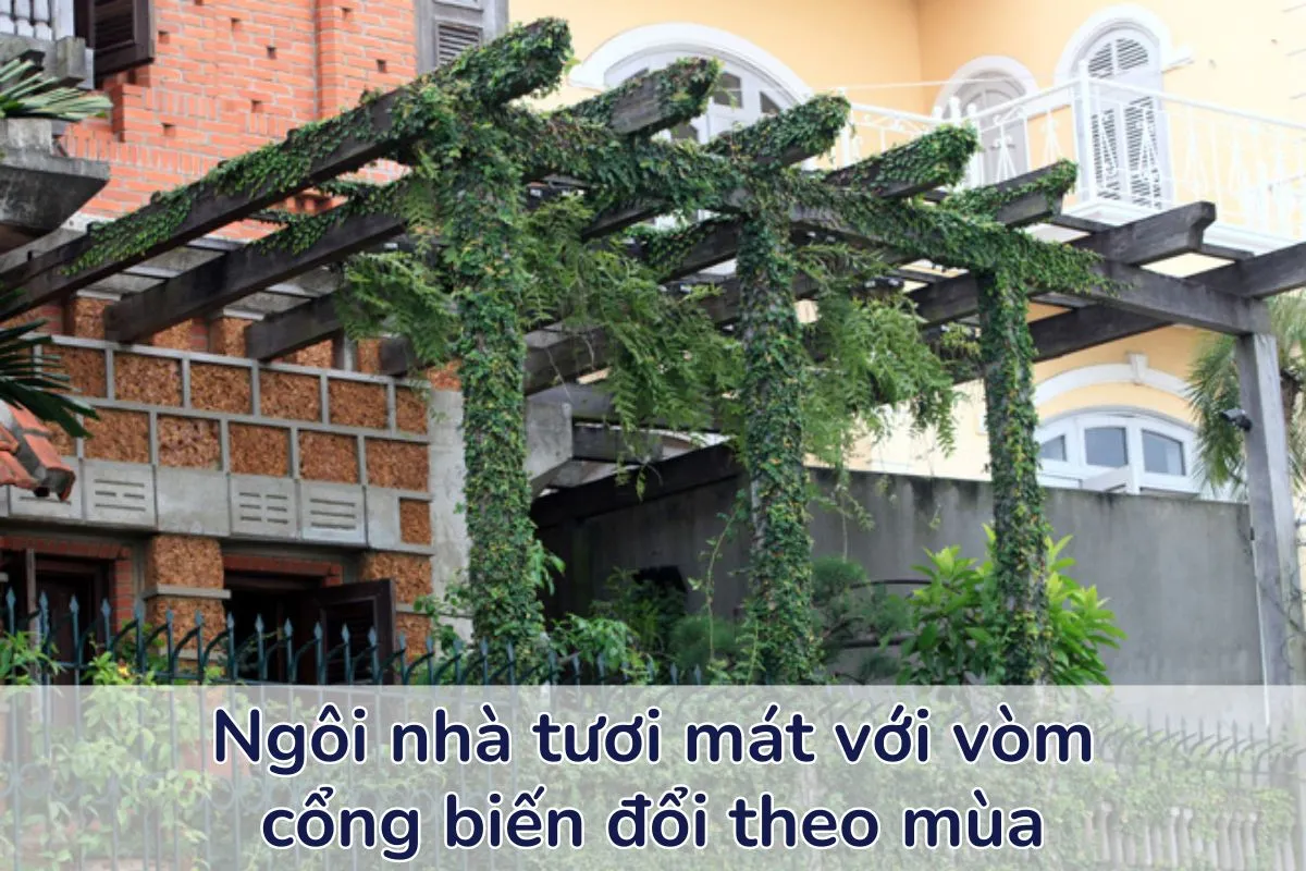 Những ngôi nhà tươi mát tại Hồ Tây