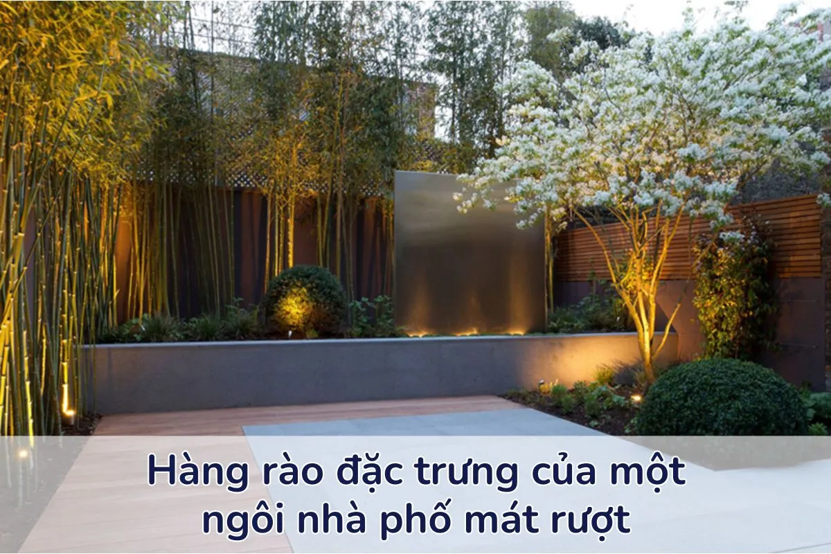 Nhà phố mát rượi kết hợp tre và trúc