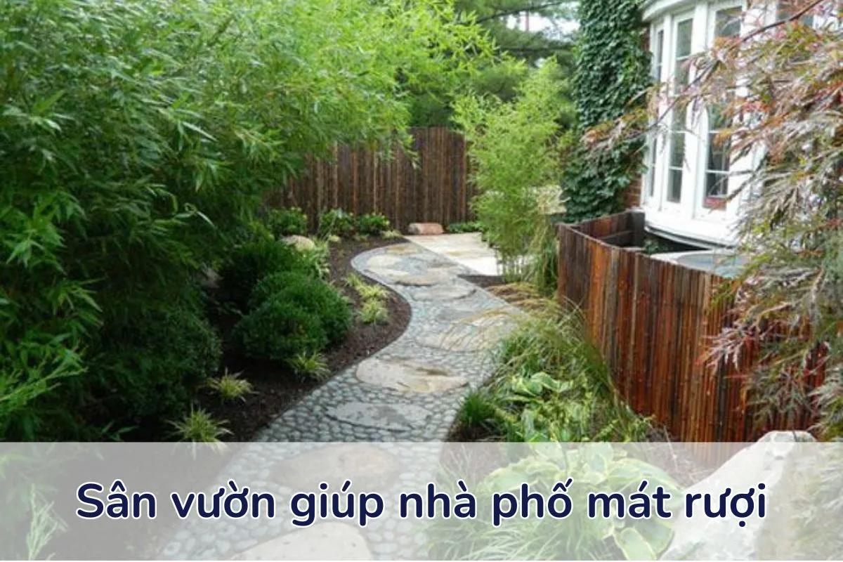 Nhà phố mát rượi kết hợp tre và trúc