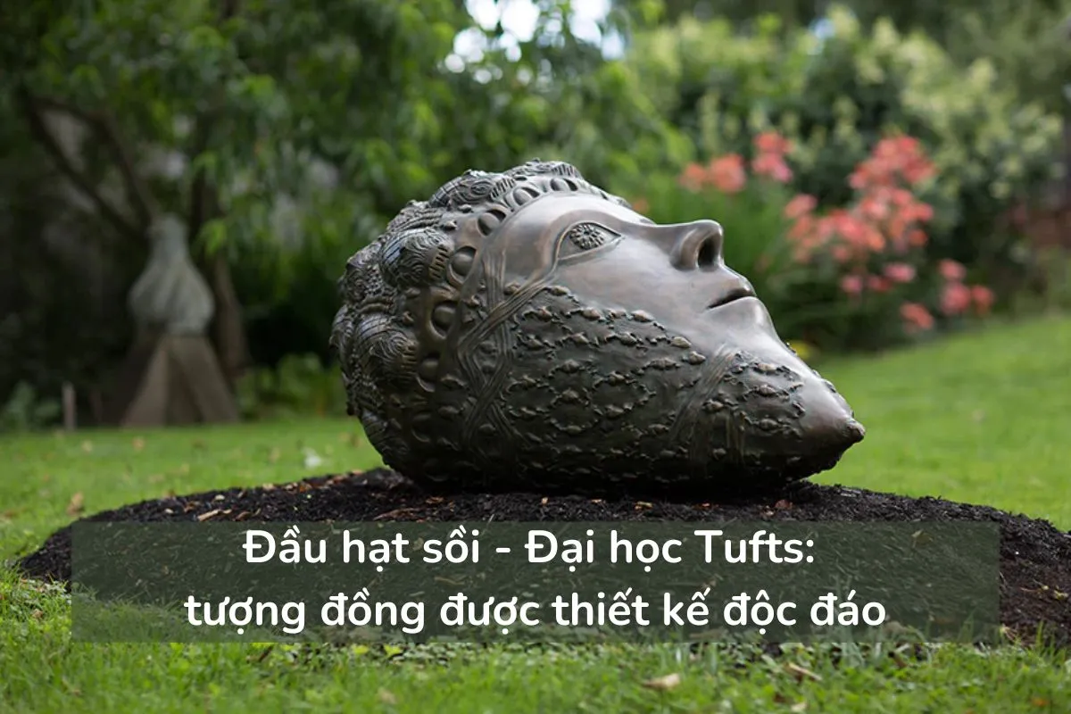 Đầu hạt sồi - Đại học Tufts - tượng đồng được thiết kế độc đáo