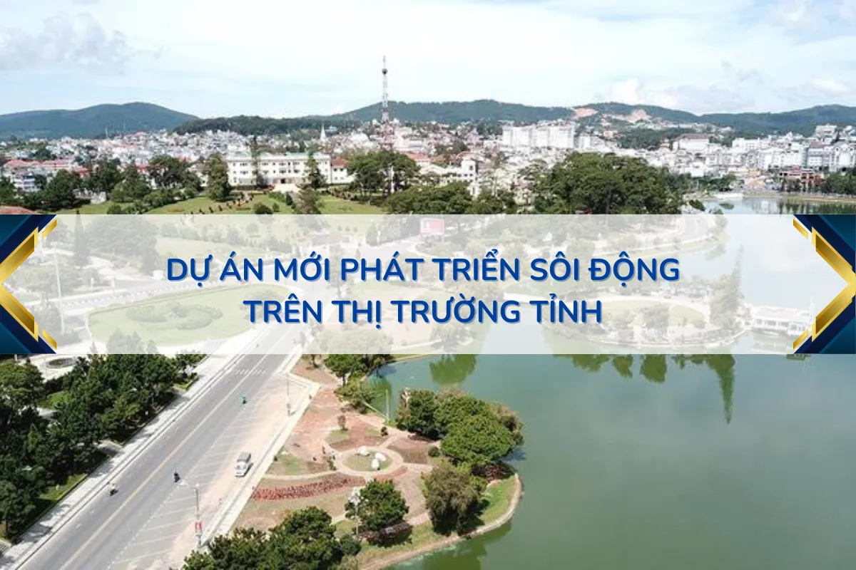 Dự Án Mới Phát Triển Sôi Động Trên Thị Trường Tỉnh