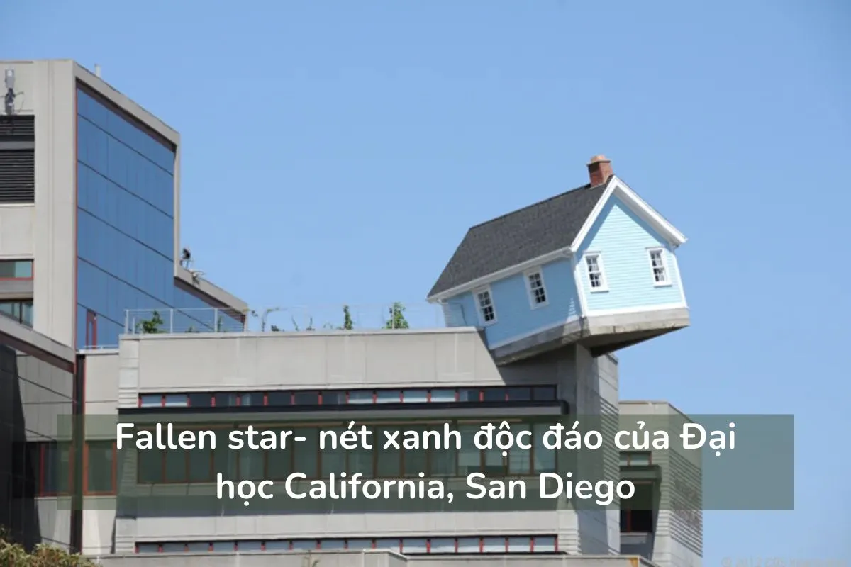 Fallen star- nét xanh độc đáo của Đại học California, San Diego