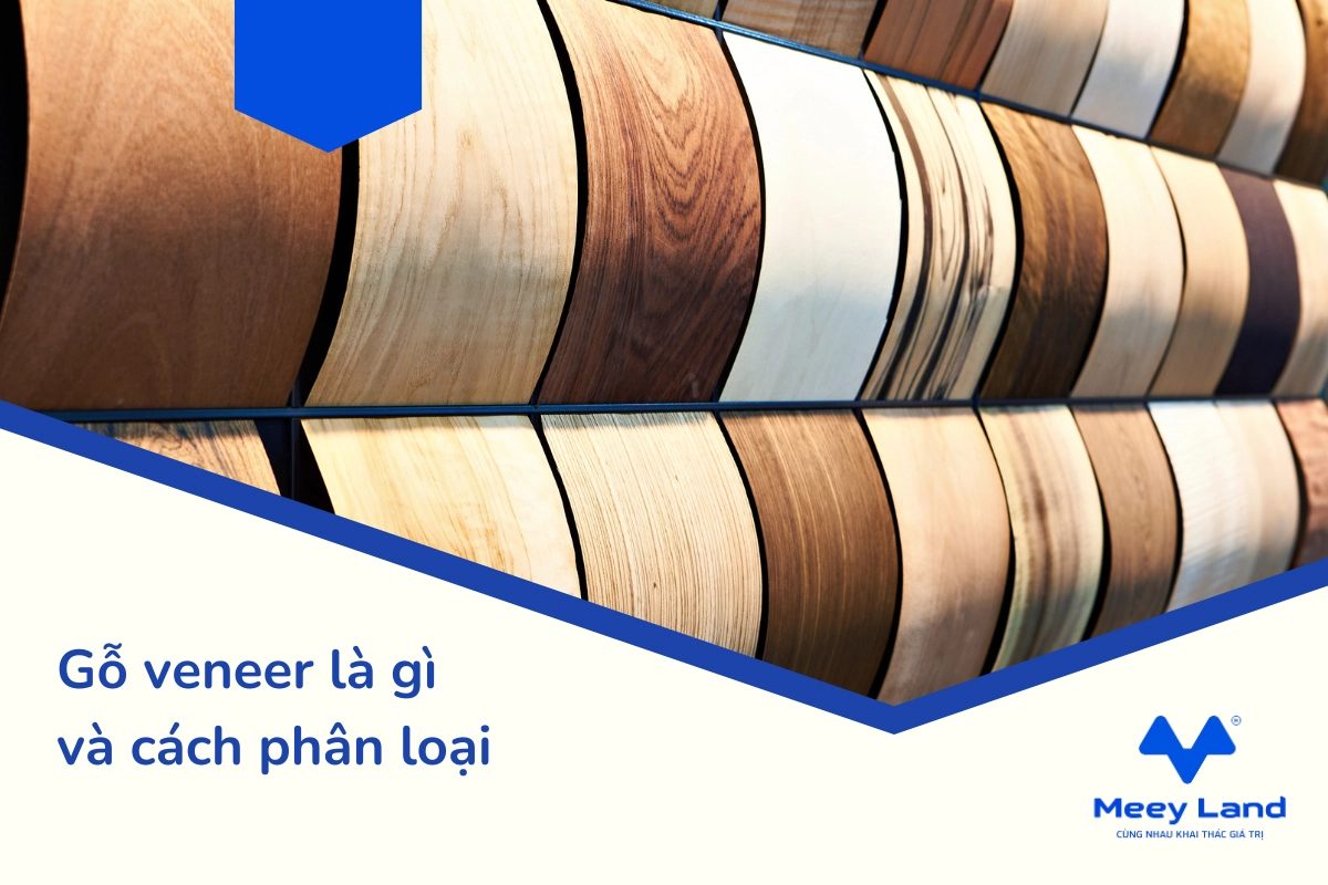 Gỗ veneer là gì và cách phân loại