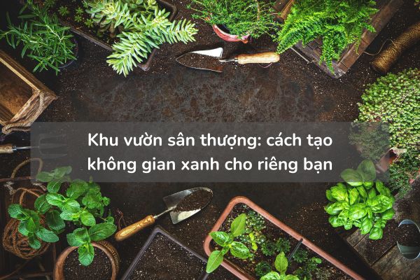 Khu vườn sân thượng cách tạo không gian xanh cho riêng bạn