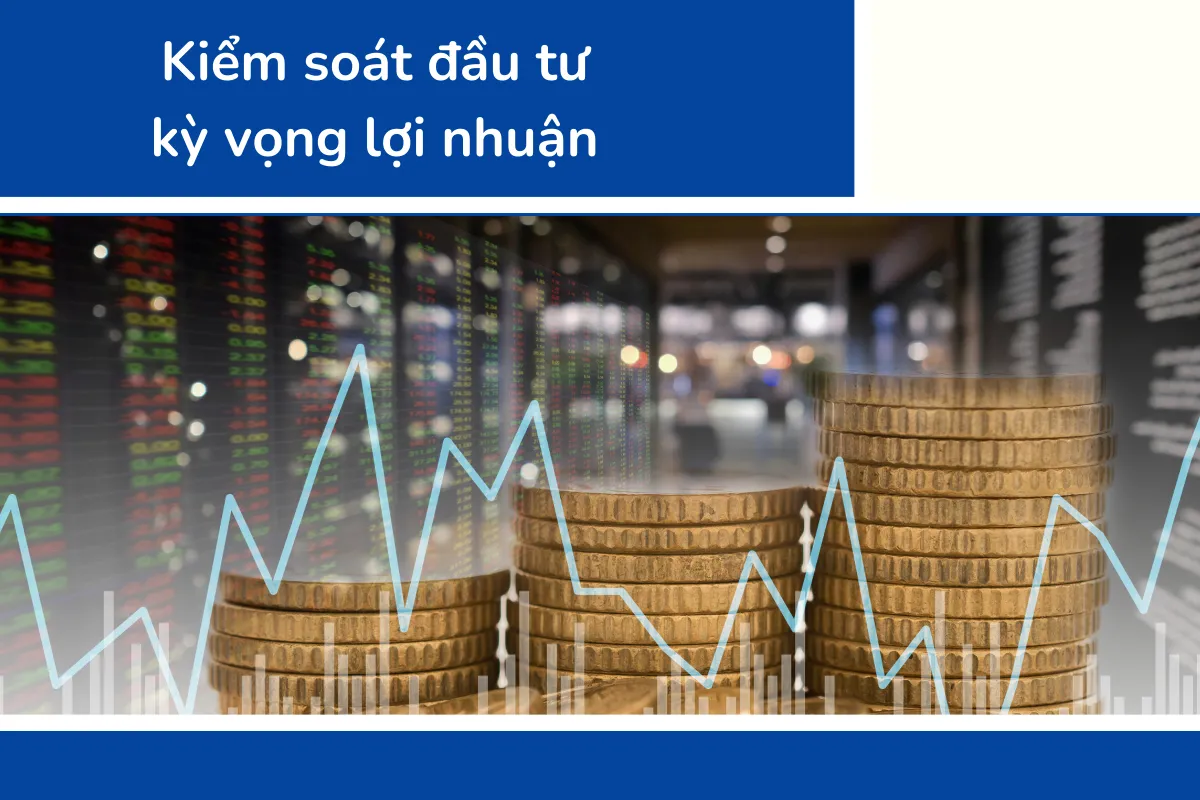 Kiểm soát đầu tư kỳ vọng lợi nhuận