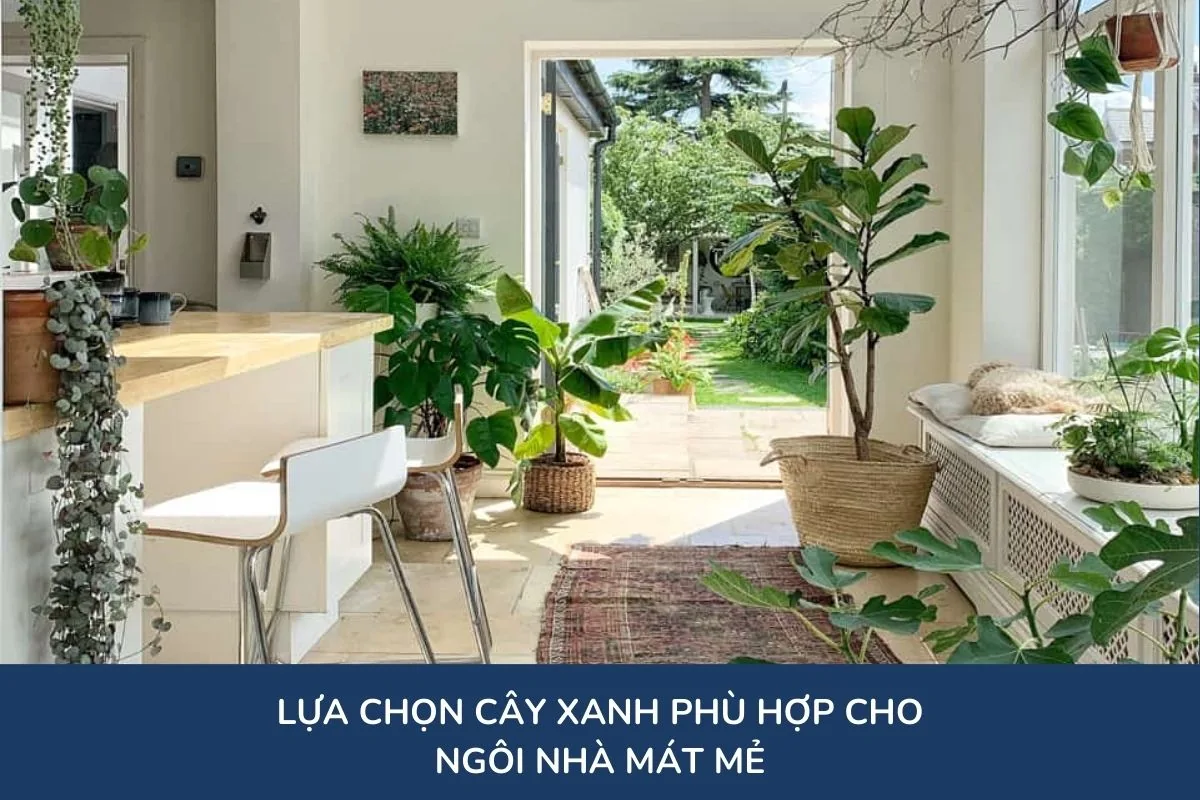 Lựa chọn cây xanh phù hợp cho ngôi nhà mát mẻ