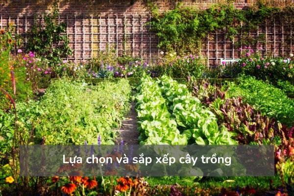 Lựa chọn và sắp xếp cây trồng