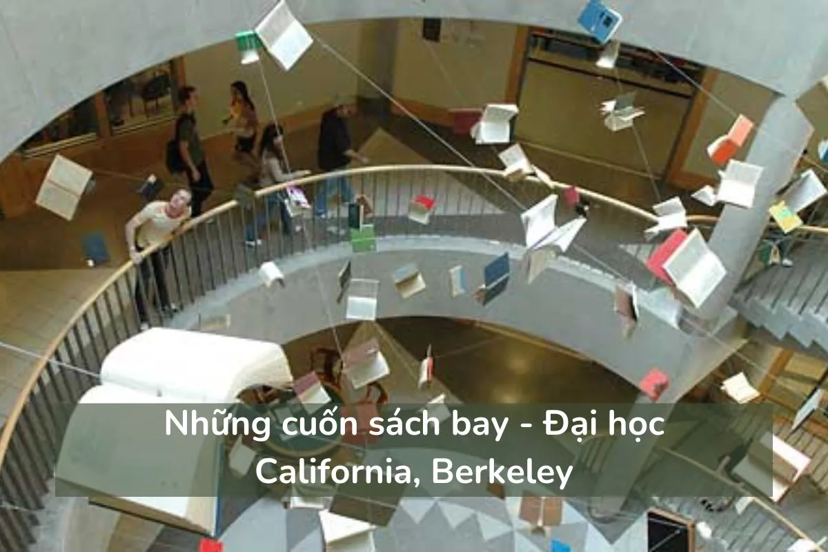 Những cuốn sách bay - Đại học California, Berkeley