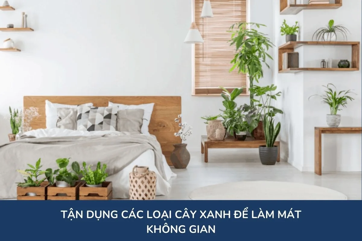 Tận dụng cây xanh để làm mát