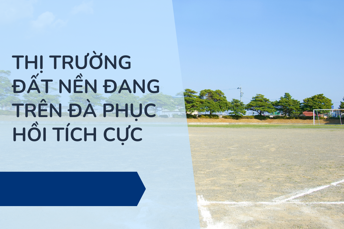 Thị trường đang trên đà phục hồi tích cực