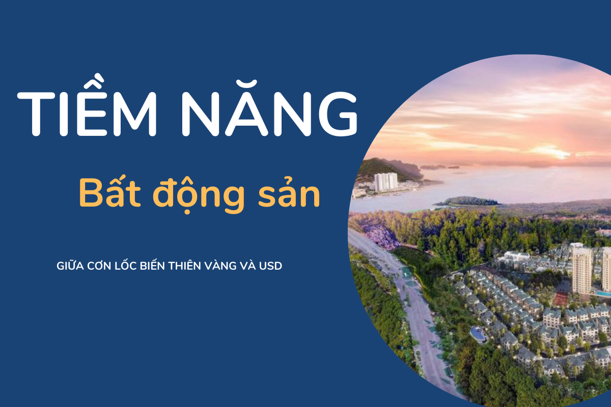 Tiềm Năng Của Ngành Bất Động Sản Giữa Cơn Lốc Biến Thiên Của Thị Trường Vàng Và USD